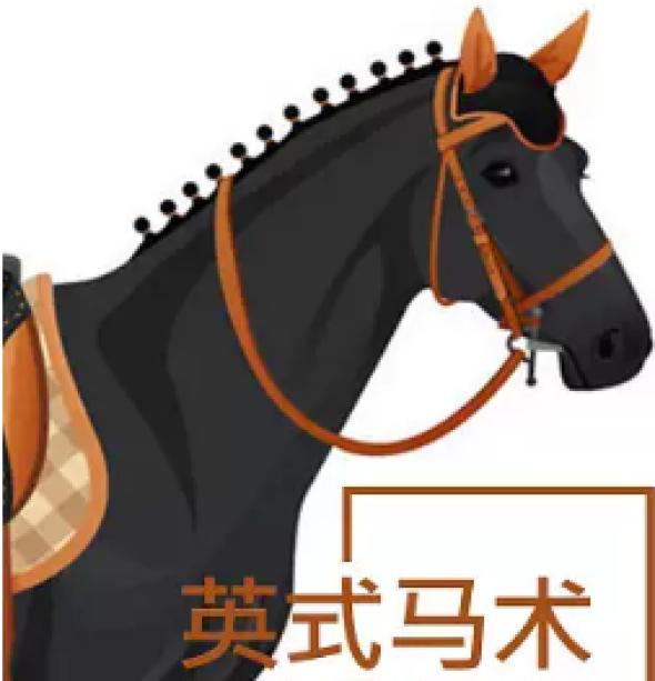 纵横马术学院成立于2014年，在北京有丰台和顺义两处教学基地。 丰台马场有一块室内马术场地，4块室外