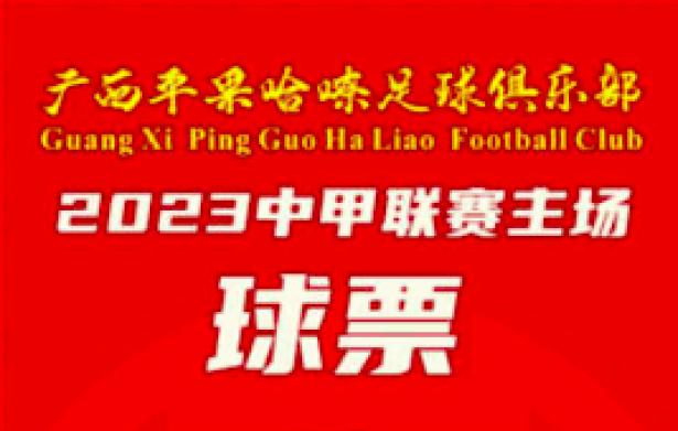 广西平果哈嘹VS延边龙鼎